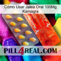 Cómo Usar Jalea Oral 100Mg Kamagra new01